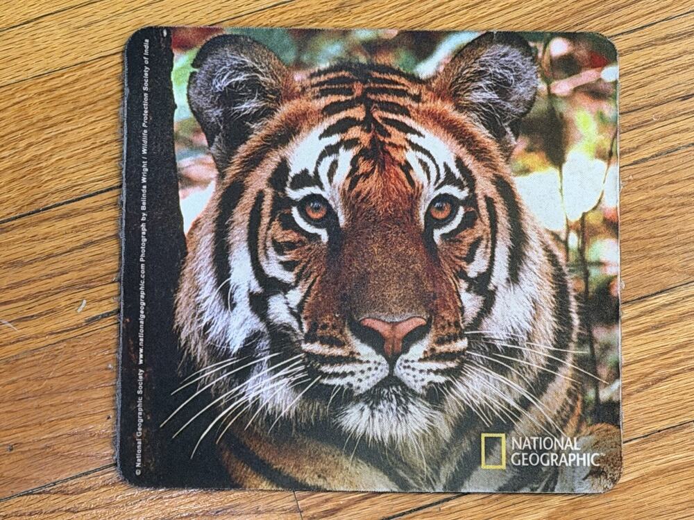 National Geographic Bengal Tiger mouse pad By Belinda Wright